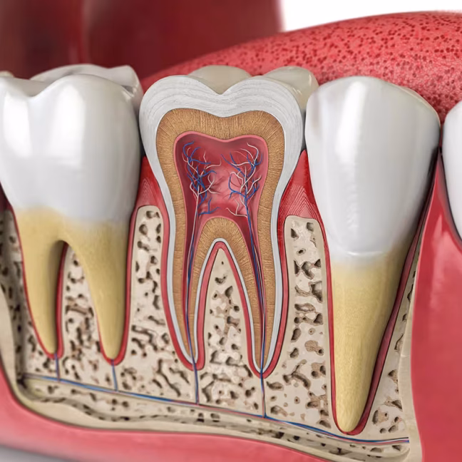 696858d7705716de5dc7a736_service-thumbnail-root-canal-therapy (1)